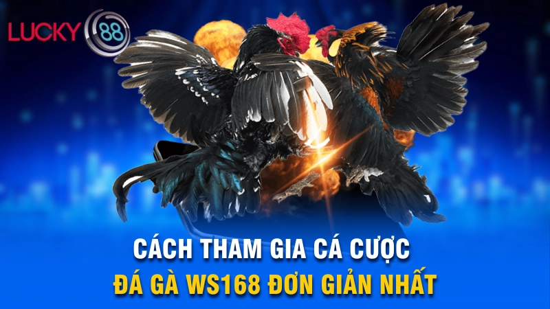 Cách tham gia cá cược đá gà WS168 đơn giản nhất