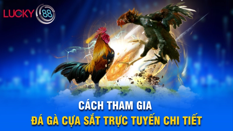 Hướng dẫn tham gia đá gà cựa sắt trực tuyến