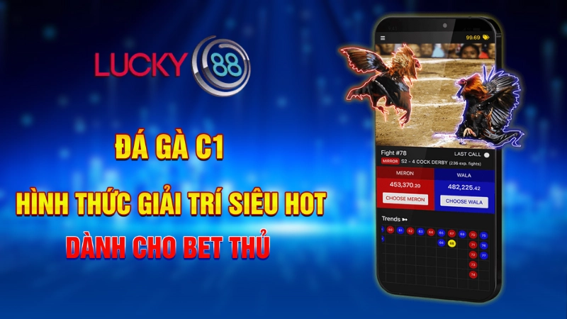 Đá gà C1