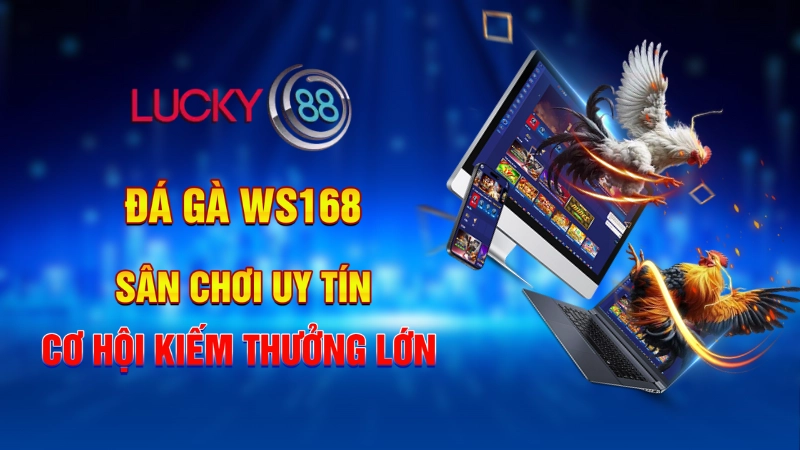 Đá gà WS168