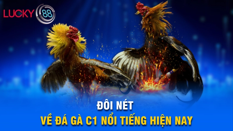 Đá Gà C1 - Giải Đá Gà Trực Tiếp Siêu Hot Nhất 2025 2 Đôi nét về đá gà C1 nổi tiếng hiện nay