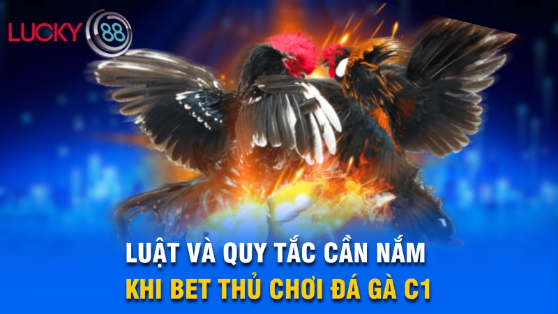 Đá Gà C1 - Giải Đá Gà Trực Tiếp Siêu Hot Nhất 2025 4 Luật và quy tắc cần nắm khi bet thủ chơi đá gà C1