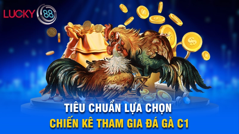 Đá Gà C1 - Giải Đá Gà Trực Tiếp Siêu Hot Nhất 2025 3 Tiêu chuẩn lựa chọn chiến kê tham gia đá gà C1