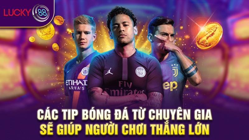 Tip bóng đá là gì