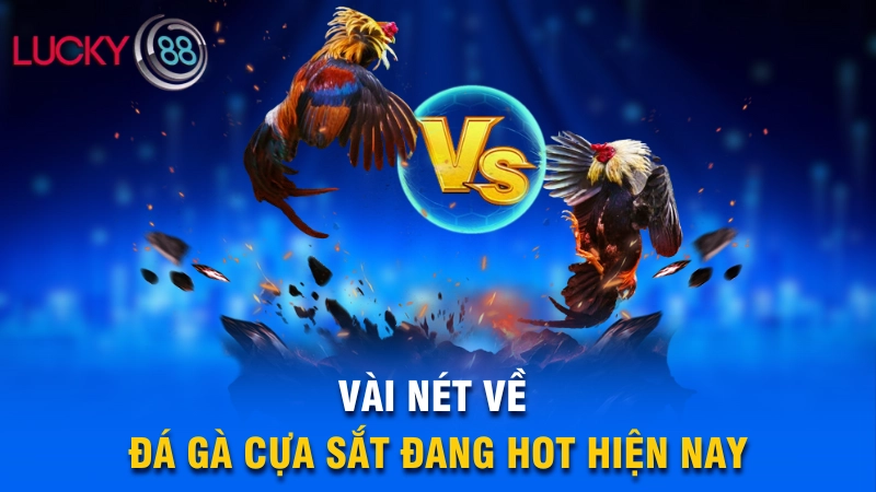Khái quát thông tin về đá gà cựa sắt