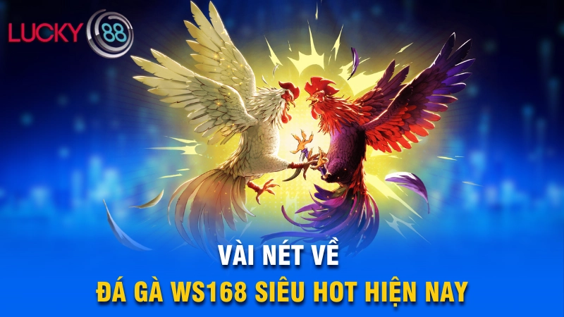 Vài nét về đá gà WS168 siêu hot hiện nay